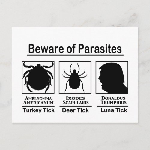 Donald Trump Beware of Parasites Postcard