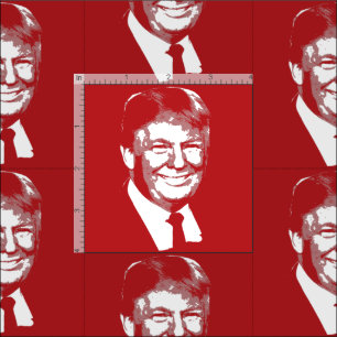 DONALD TRUMP FABRIC