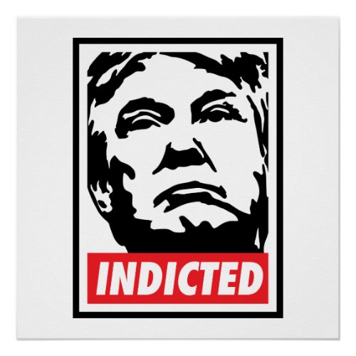 Donald Trump Indicted 2023 Poster