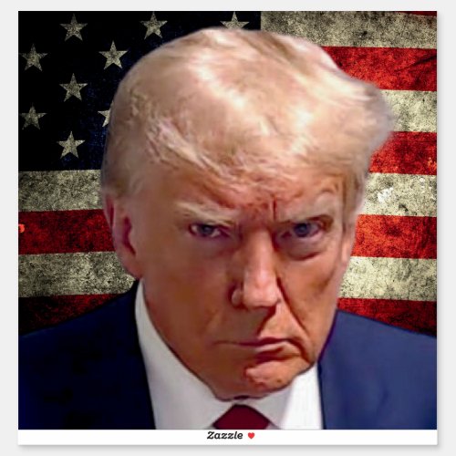 Donald Trump Mug Shot Sticker with American Flag 