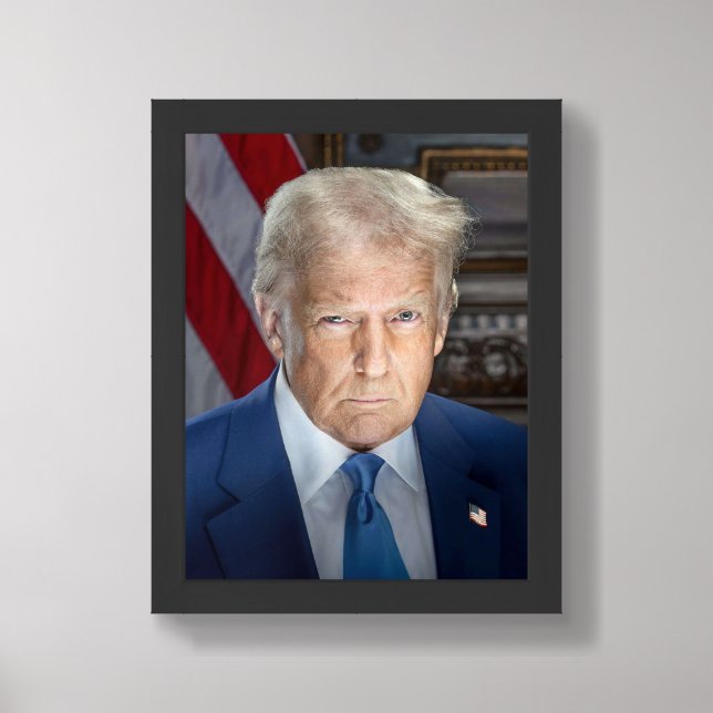 Donald Trump Official Portrait Photo 2025 Framed Art (Framed Front)