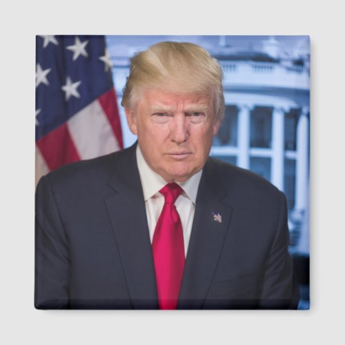 Donald Trump Official Presidential Portrait Magnet