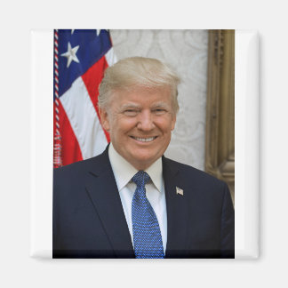 Donald Trump Official Presidential Portrait Magnet