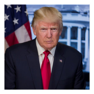 Donald Trump Official Presidential Portrait Poster