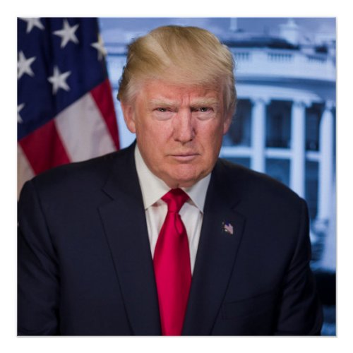 Donald Trump Official Presidential Portrait Poster