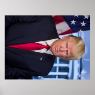 Donald Trump Official Presidential Portrait Poster