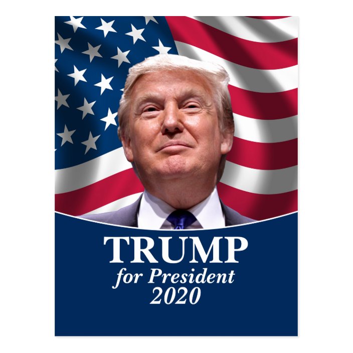 Type my custom creative essay on donald trump 04 picture