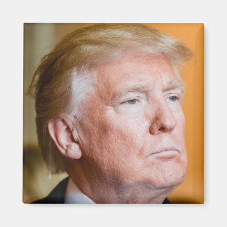 Donald Trump Portrait Magnet