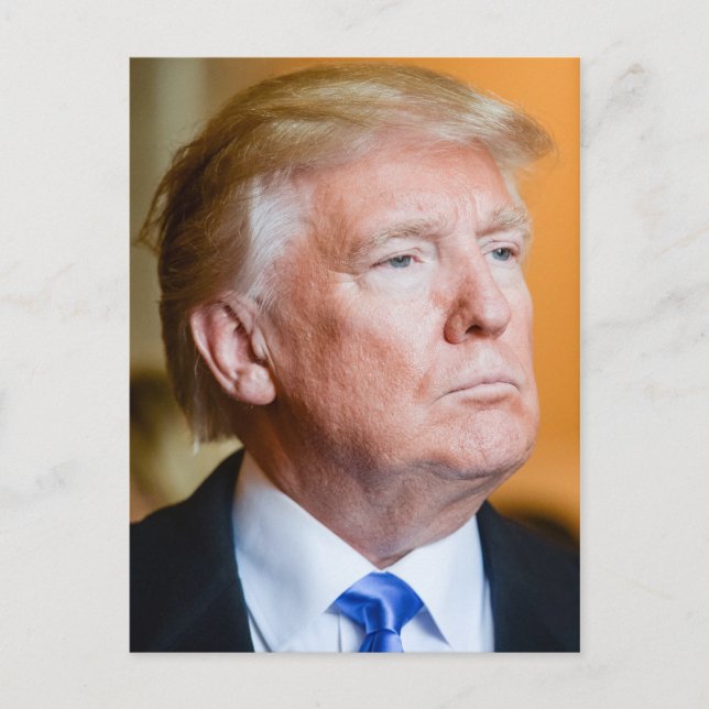Donald Trump Portrait Postcard (Front)