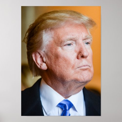 Donald Trump Portrait Poster