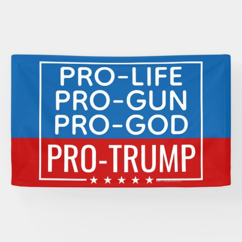 Donald Trump Pro_Life Pro_Gun Pro_God Pro_Trump Banner