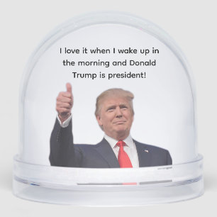 Donald Trump  Snow Globe
