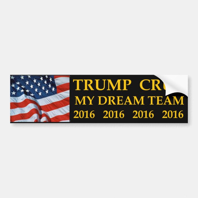 Donald Trump Ted Cruz my dream team bumper sticker (Front)