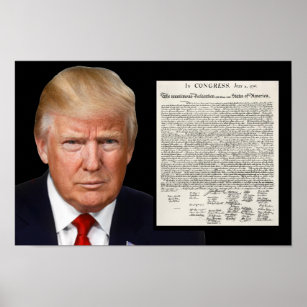 Donald Trump & The Declaration of Independence Poster