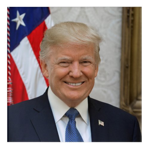 Donald Trump US President White House MAGA 2024  Acrylic Print