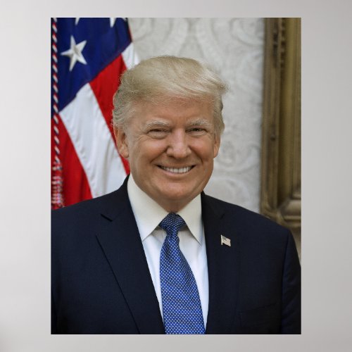 Donald Trump US President White House MAGA 2024  Poster