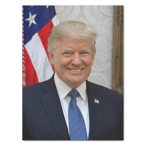 Donald Trump US President White House MAGA 2024  Tissue Paper