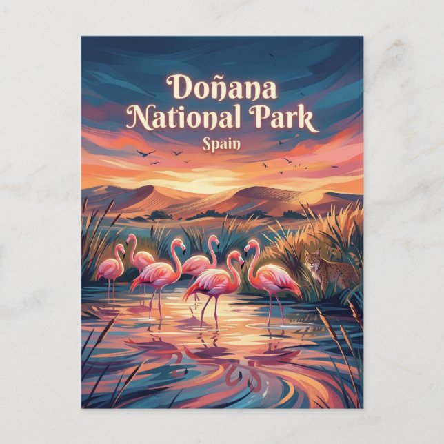 Doñana National Park Spain Postcard (Front)