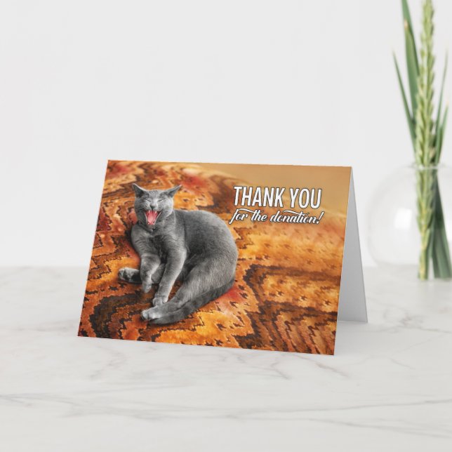 Donation Gray Cat on a Pillow Donor Thank You Card (Front)