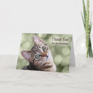 Donation Thank You Tabby Kitten Card