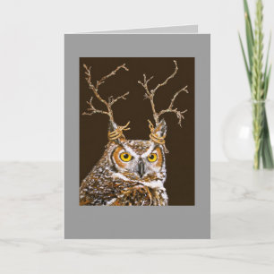 Donder the owl card
