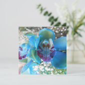 Donella (Standing Front)