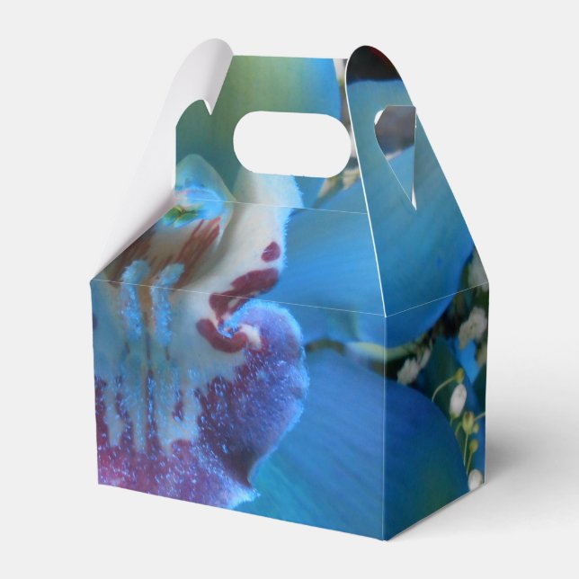 Donella Favor Boxes (Front Side)