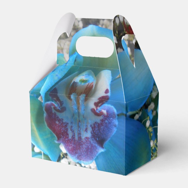 Donella Favor Boxes (Front Side)