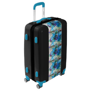 Donella Luggage