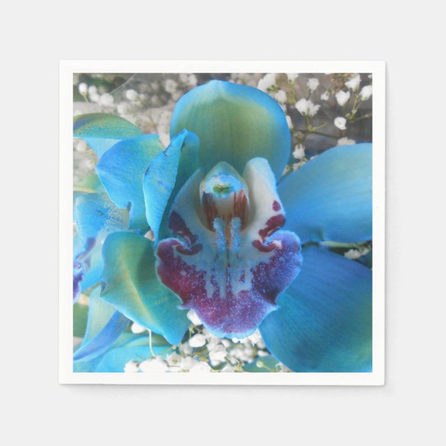 Donella Napkins (Front)