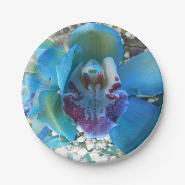 Donella Paper Plates (Front)