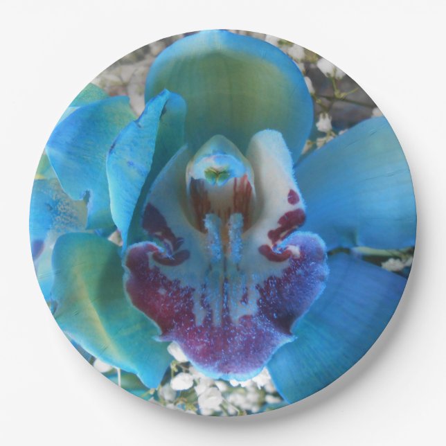 Donella Paper Plates (Front)