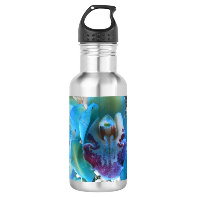 Donella Stainless Steel Water Bottle (Front)