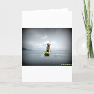 Dongles and ball.jpg holiday card