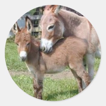 Donkey And Baby Classic Round Sticker by walkandbark at Zazzle