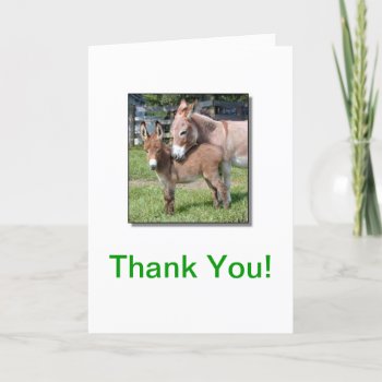 Donkey And Baby Thank You Card by walkandbark at Zazzle