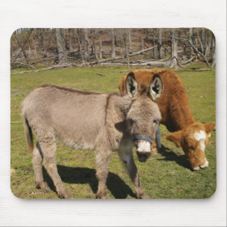 Donkey And Cow Mouse Pad