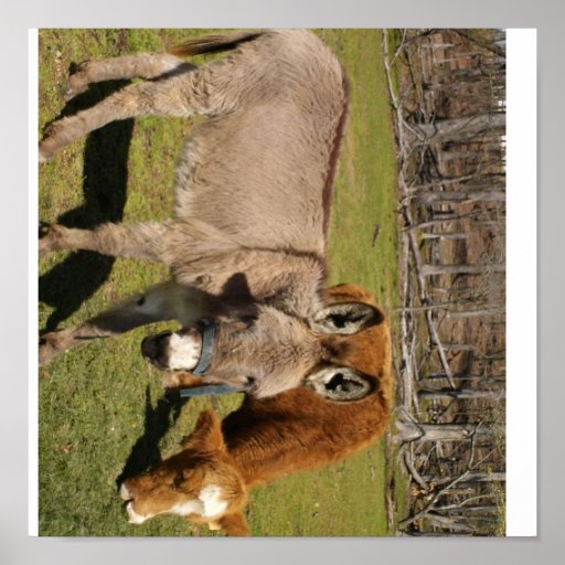 Donkey Posters, Donkey Prints, Art Prints, & Poster Designs | Zazzle