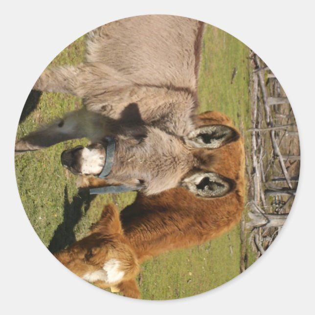 Donkey And Cow Sticker (Front)