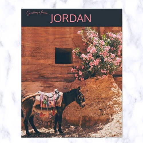 Donkey and Flowers in Wadi Musi Jordan Postcard