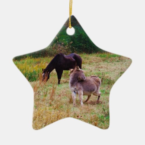 Donkey and horse in a Fall Field Ceramic Ornament
