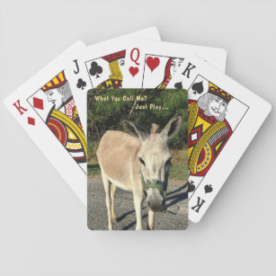 Modern Wide Linen Donkeys P5 Donkey In Sunset Swap Playing Card 