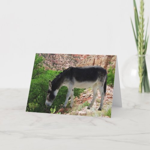 Donkey Animal Spirit Friend Blank Card