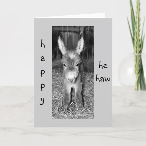 DONKEY BABY SAYS HE HAW HAPPY BIRTHDAY CARD