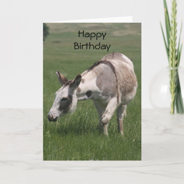 Donkey Birthday Card | Zazzle