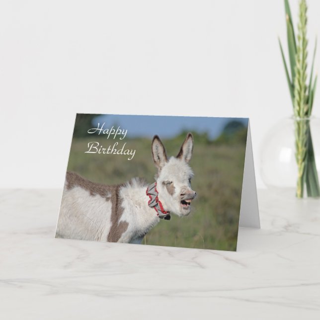 Donkey birthday card (Front)