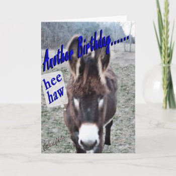 Donkey Birthday-customize It Card by MakaraPhotos at Zazzle