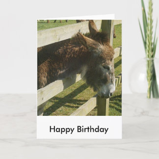 Donkey Birthday Greetings Card