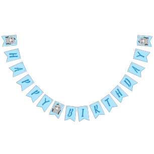 Donkey Birthday Party Bunting Flags