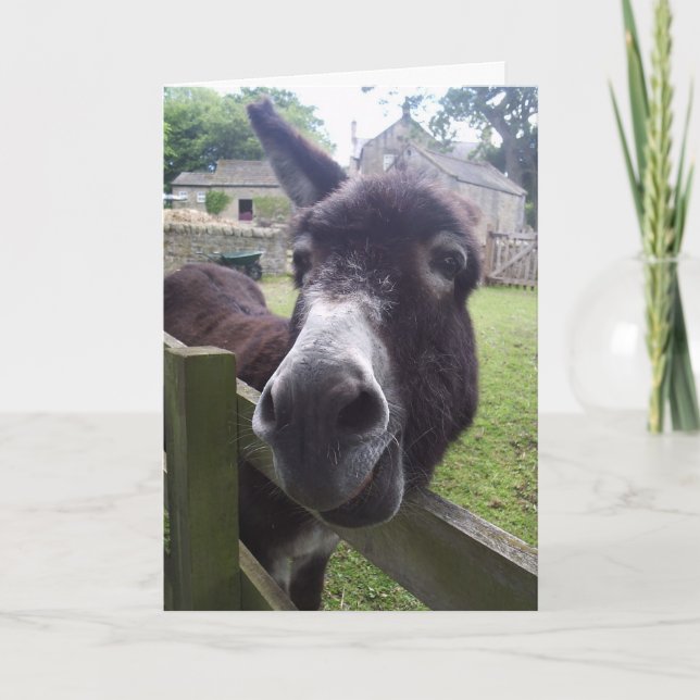 Donkey Birthday Wishes Card (Front)
